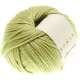 Rowan Softknit Cotton - 587 Willow