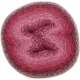 Scheepjes - Woolly Whirl Farbe 474 Bubble Lickcious