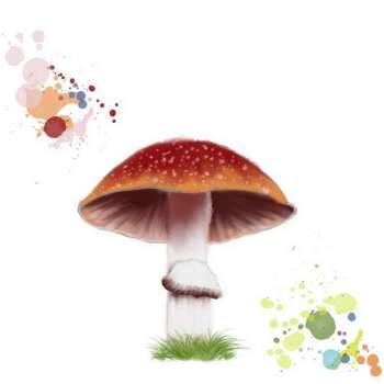 Colours Collectors - September "Toadstool"
