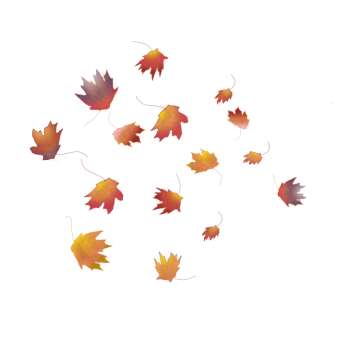 Farbensammler Monatsfärbung Oktober I - "Herbstlaub"