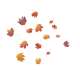 Farbensammler Monatsfärbung Oktober I - "Herbstlaub"
