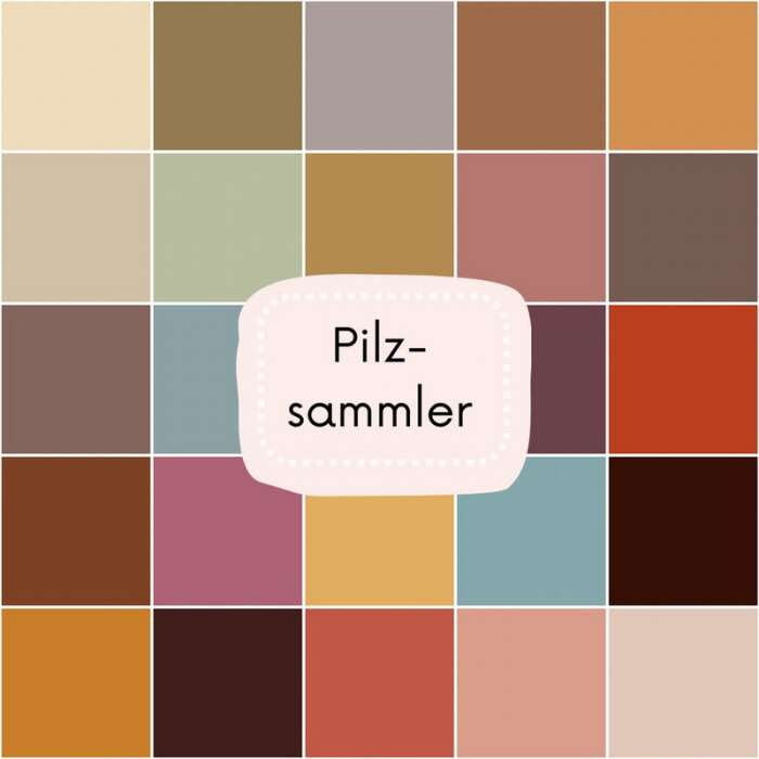Funnies Mini Set  eine Art Adventskalender 24 x Merino Sock - "Pilzsammler"