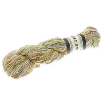 NORO Sonata Shima Farbe 1021 Handa